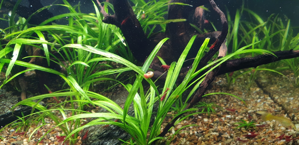 20220130_135138.jpg