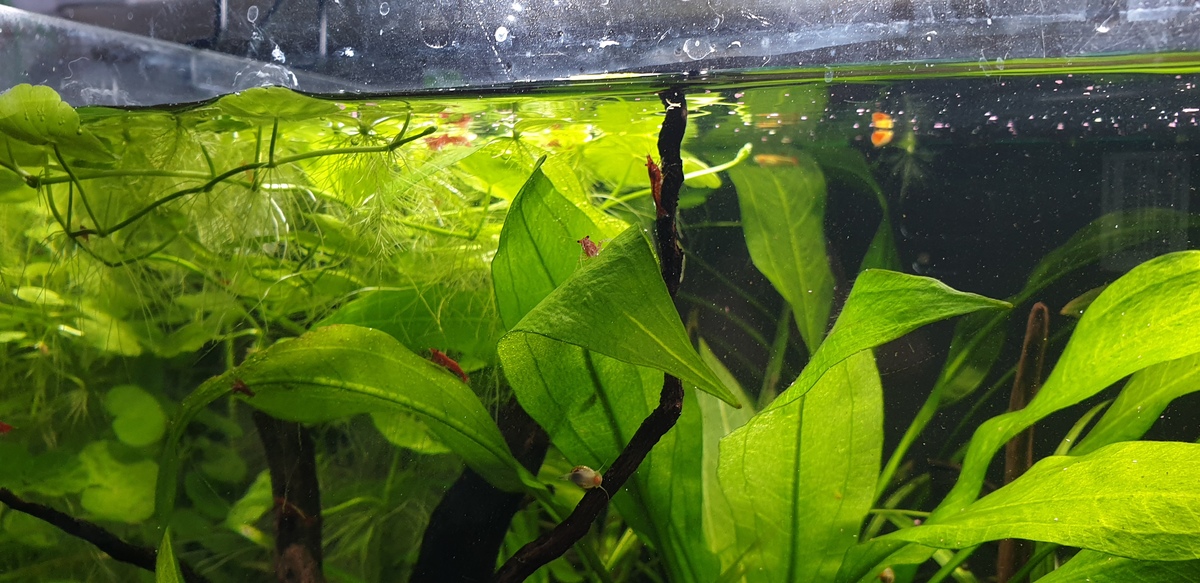 20220130_135157.jpg