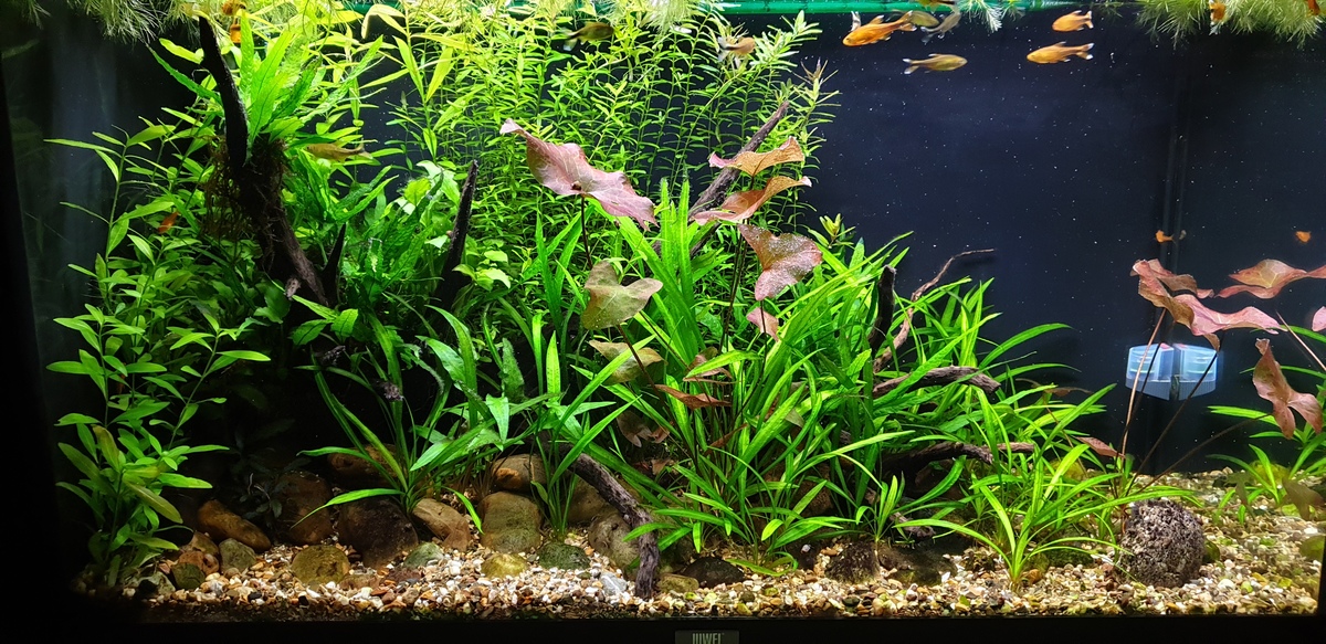 20220130_173115.jpg