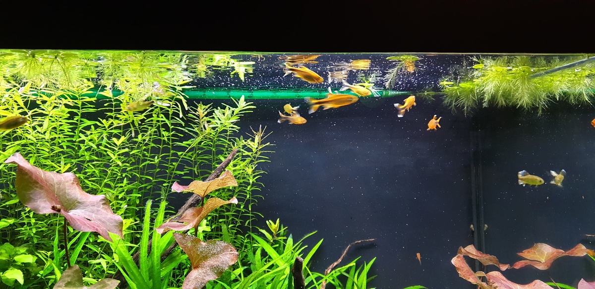 20220130_173126.jpg