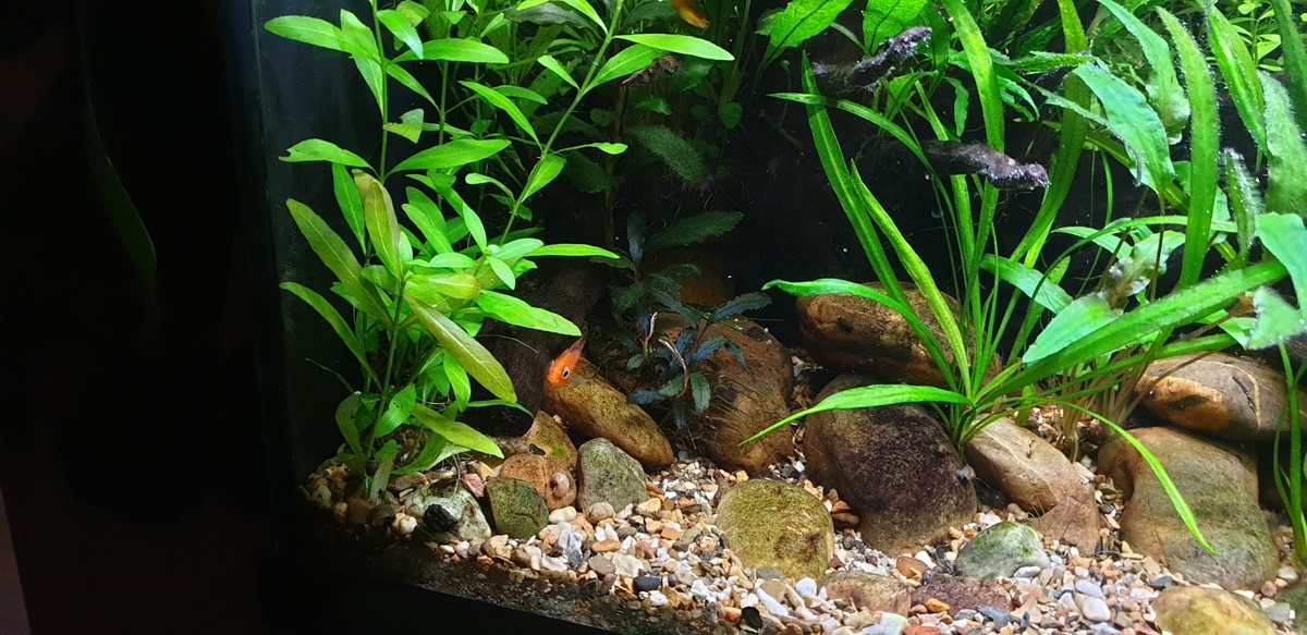 20220130_173134.jpg