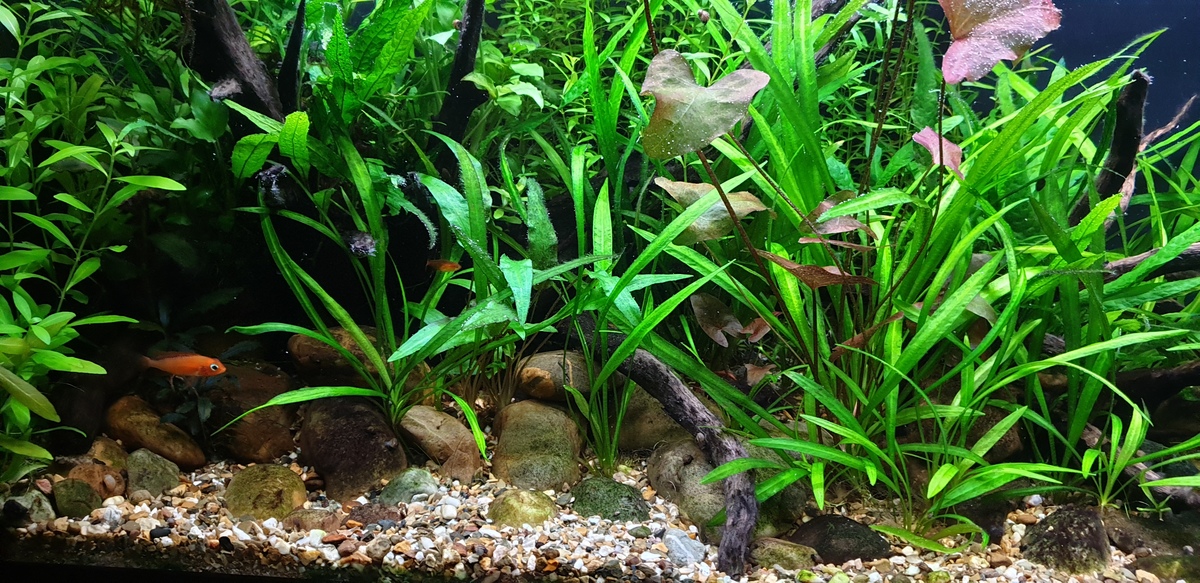20220130_173146.jpg