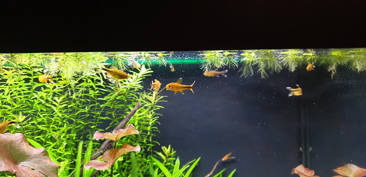 20220130_173234.jpg