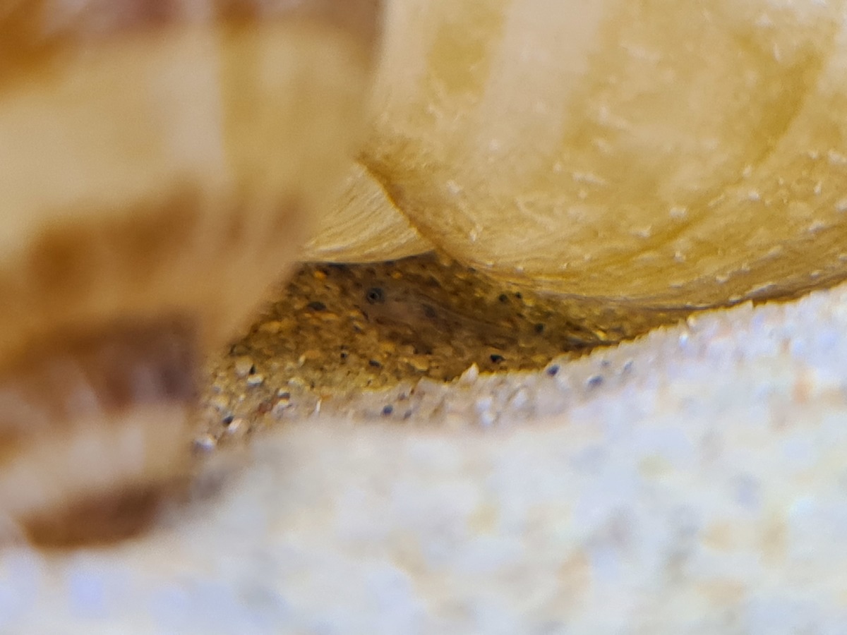 20220130_212424.jpg