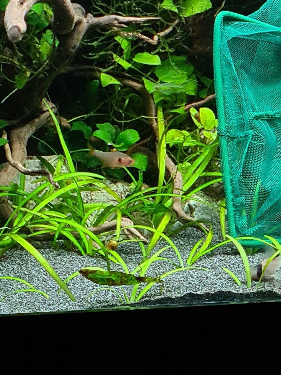 20220220_163746.jpg