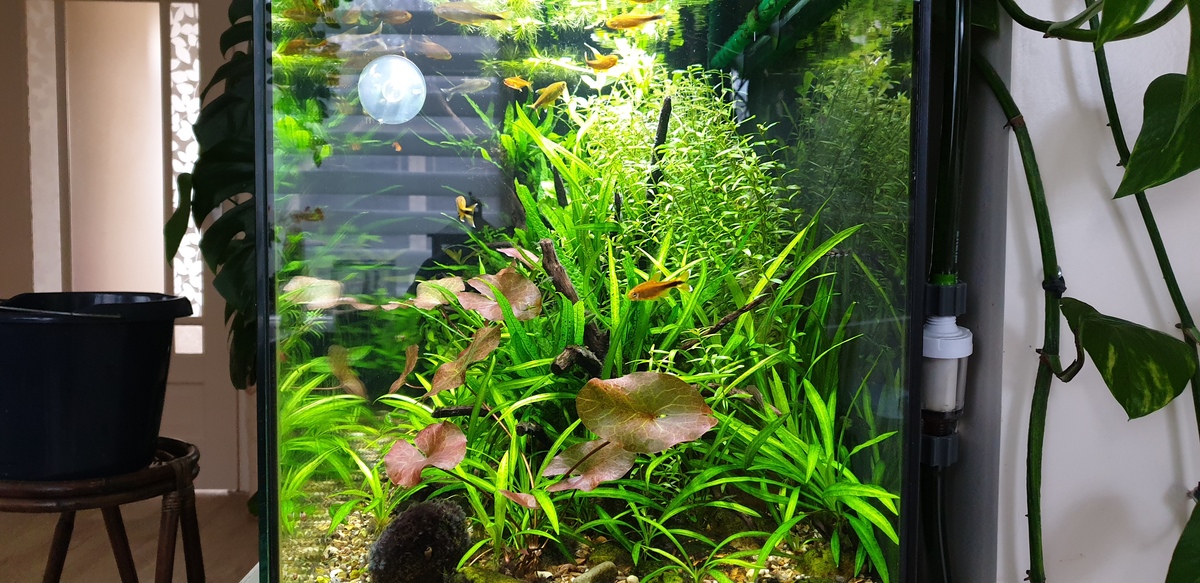 20220306_170327.jpg