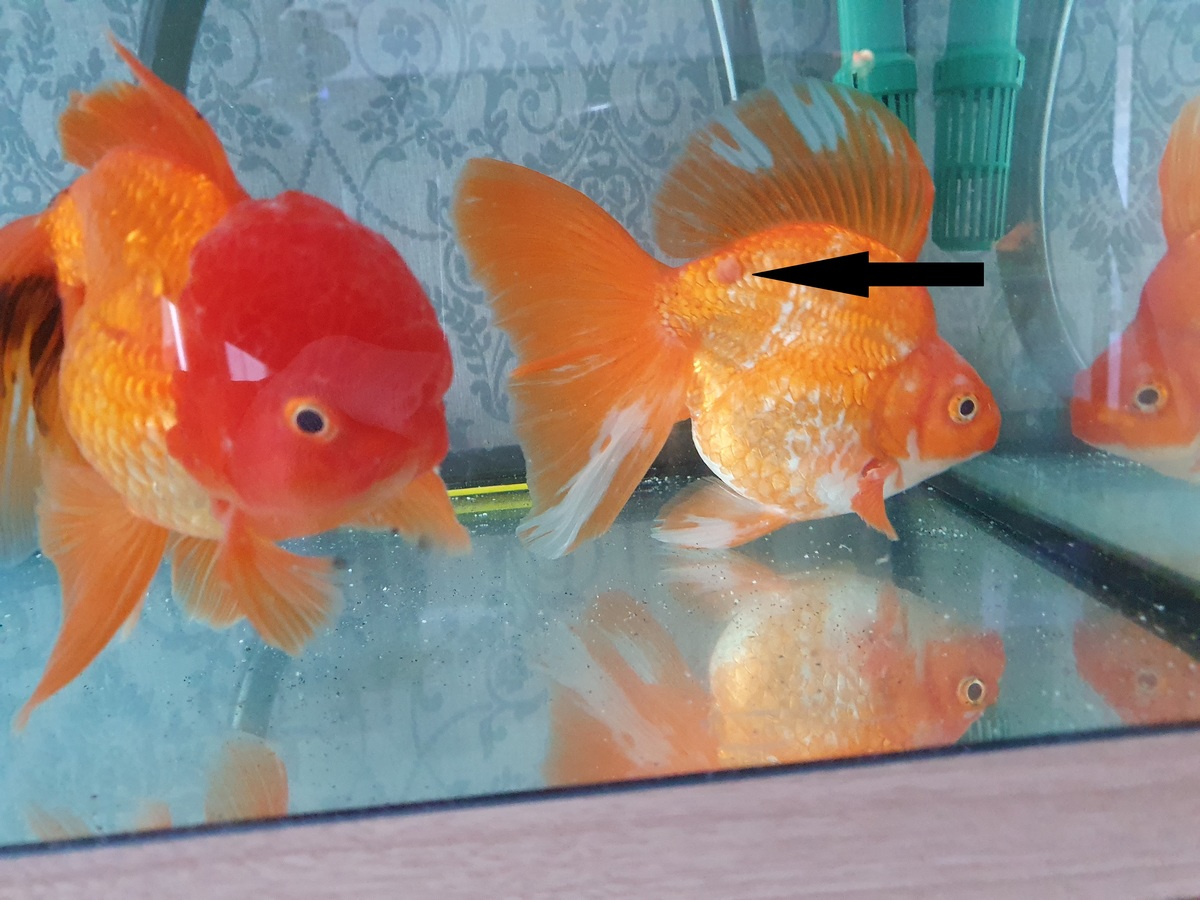 20220311_115747bis.jpg