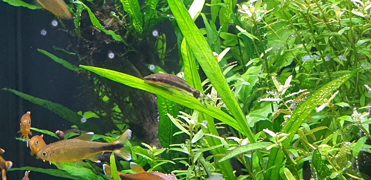 20220313_180756.jpg