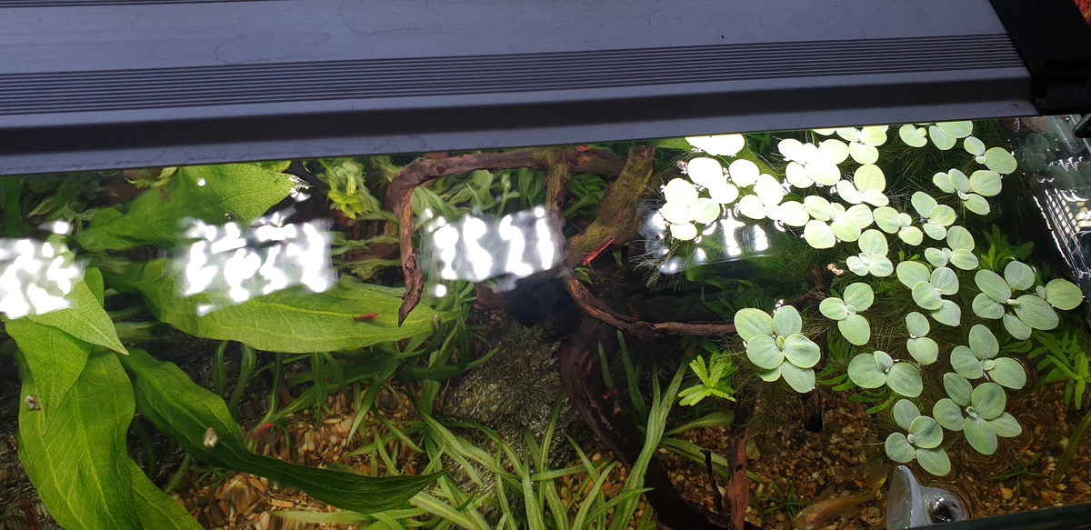 20220314_174034.jpg