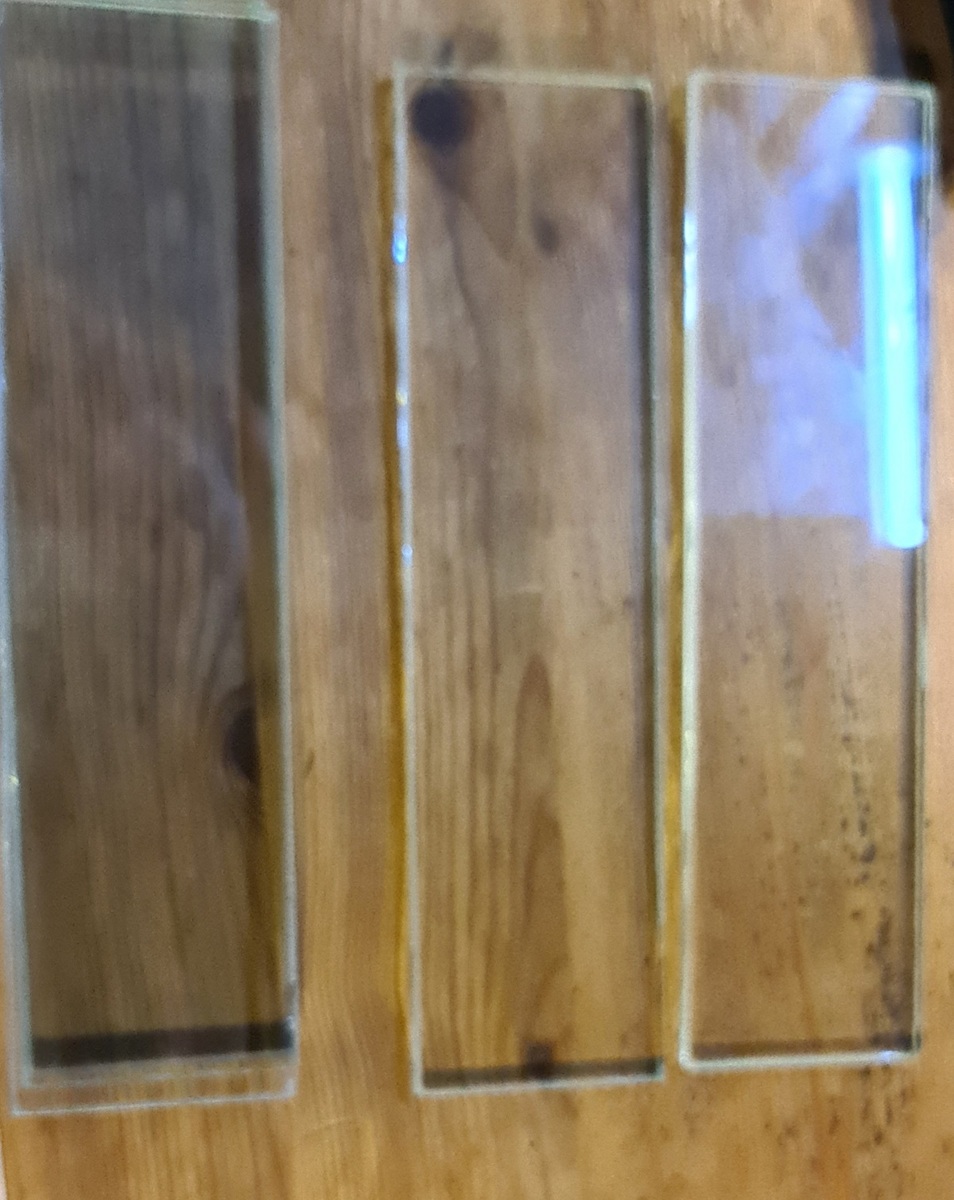 20220314_191357.jpg
