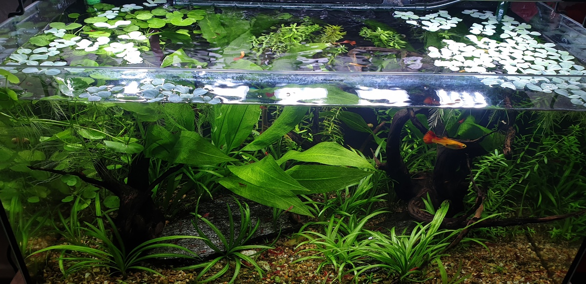 20220407_161712.jpg