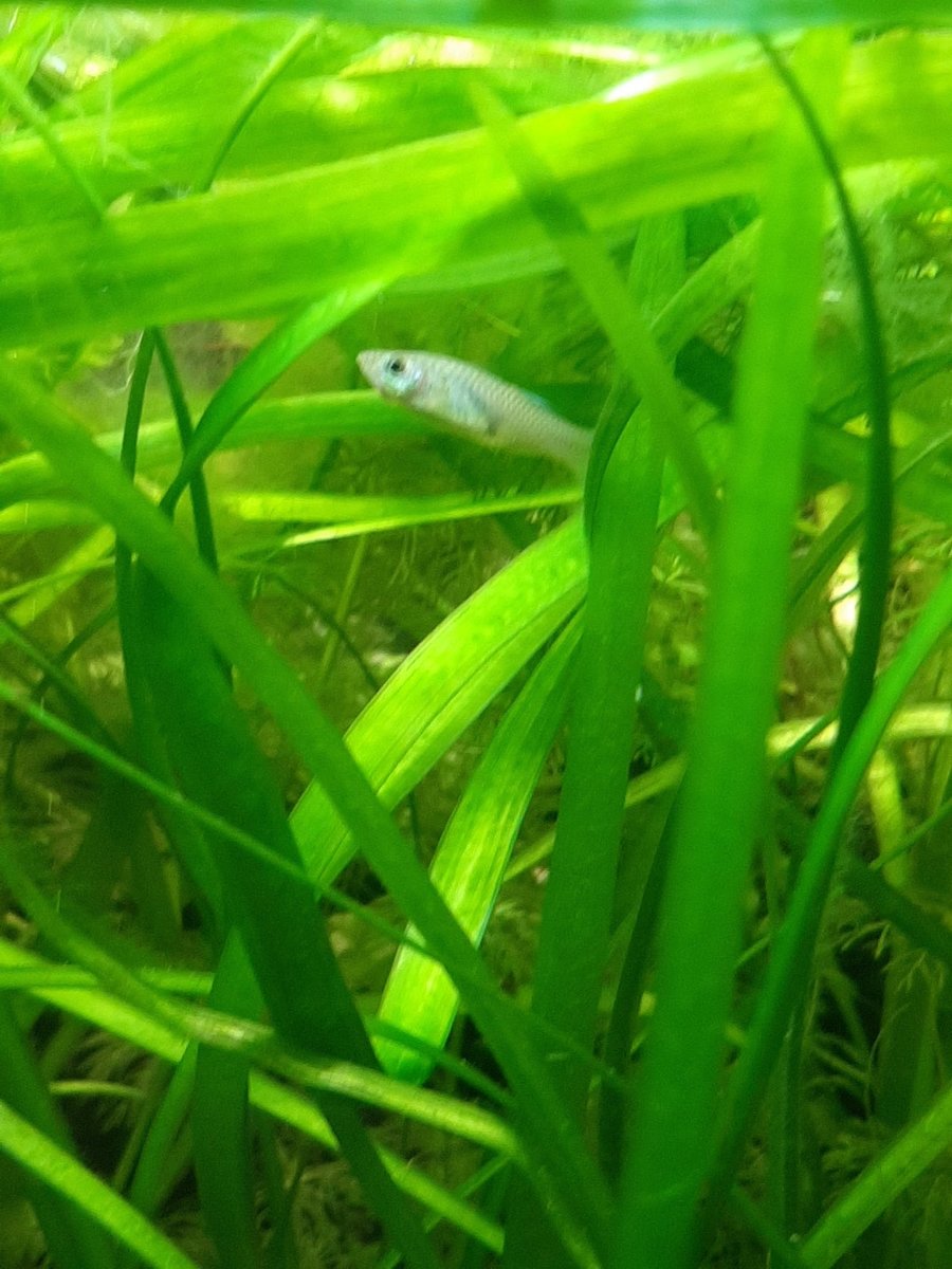 20220410_133050.jpg