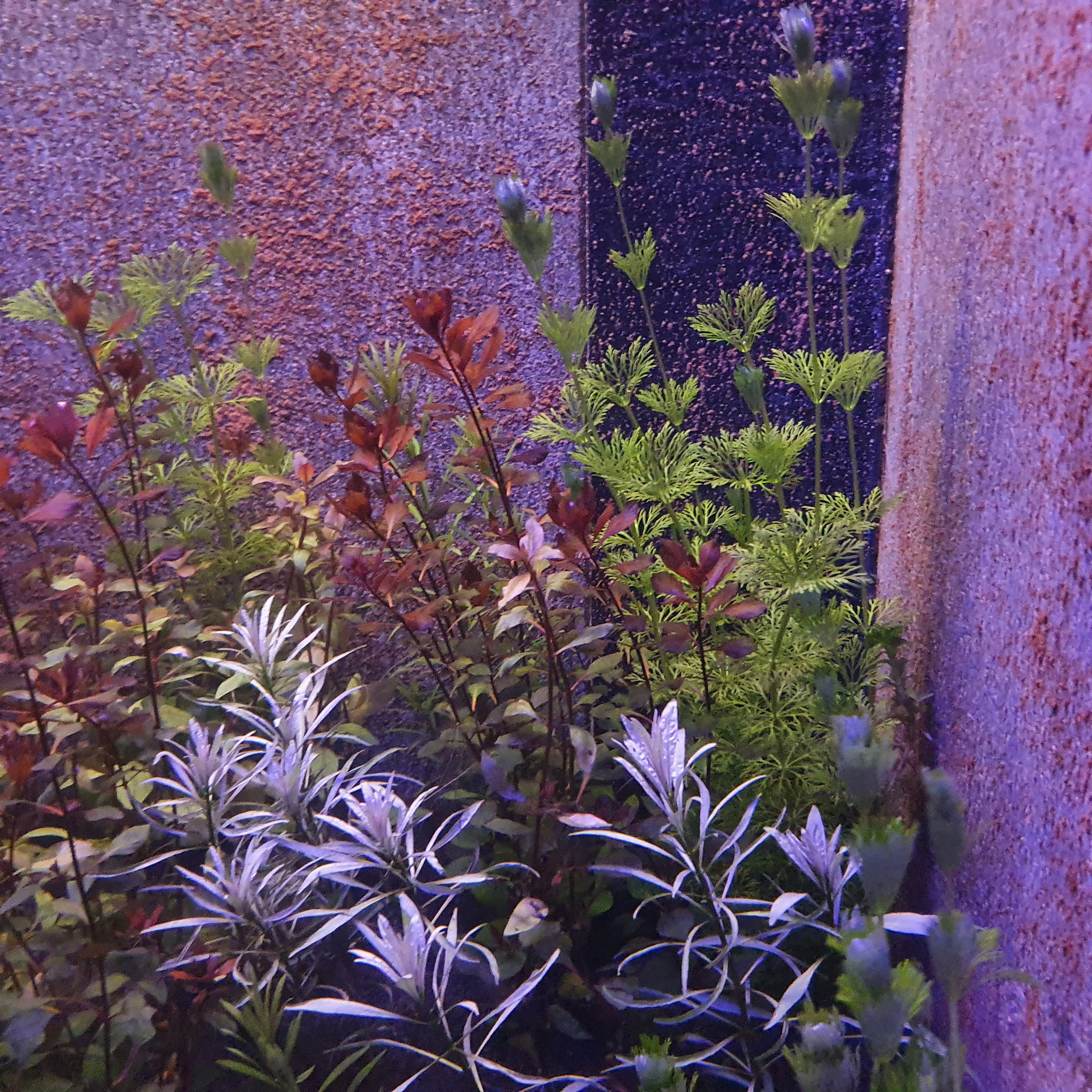 20220414_215015.jpg