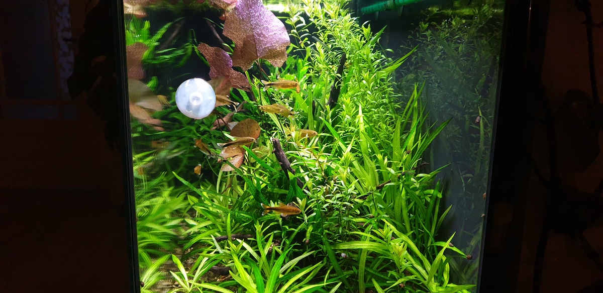 20220420_210748.jpg