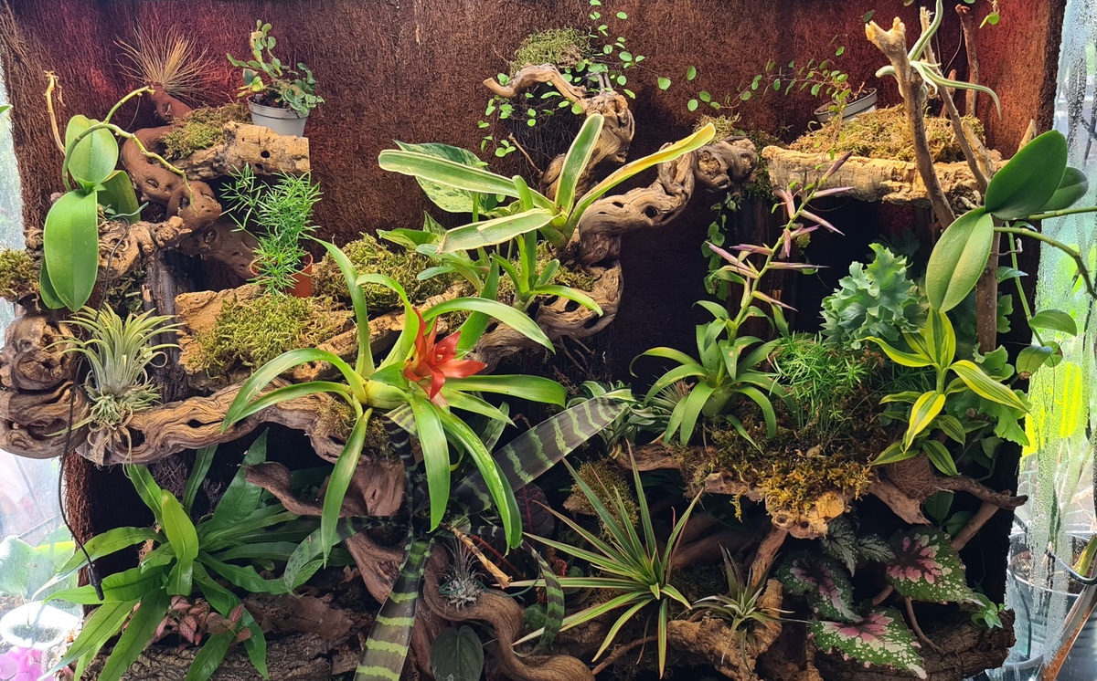 20220422_090903.jpg