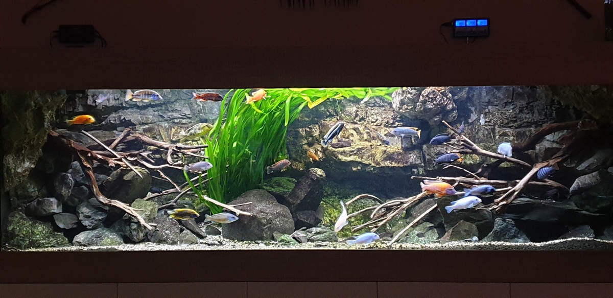 20220427_210901.jpg