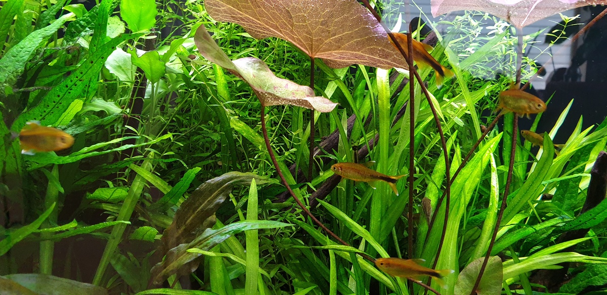 20220524_175008.jpg