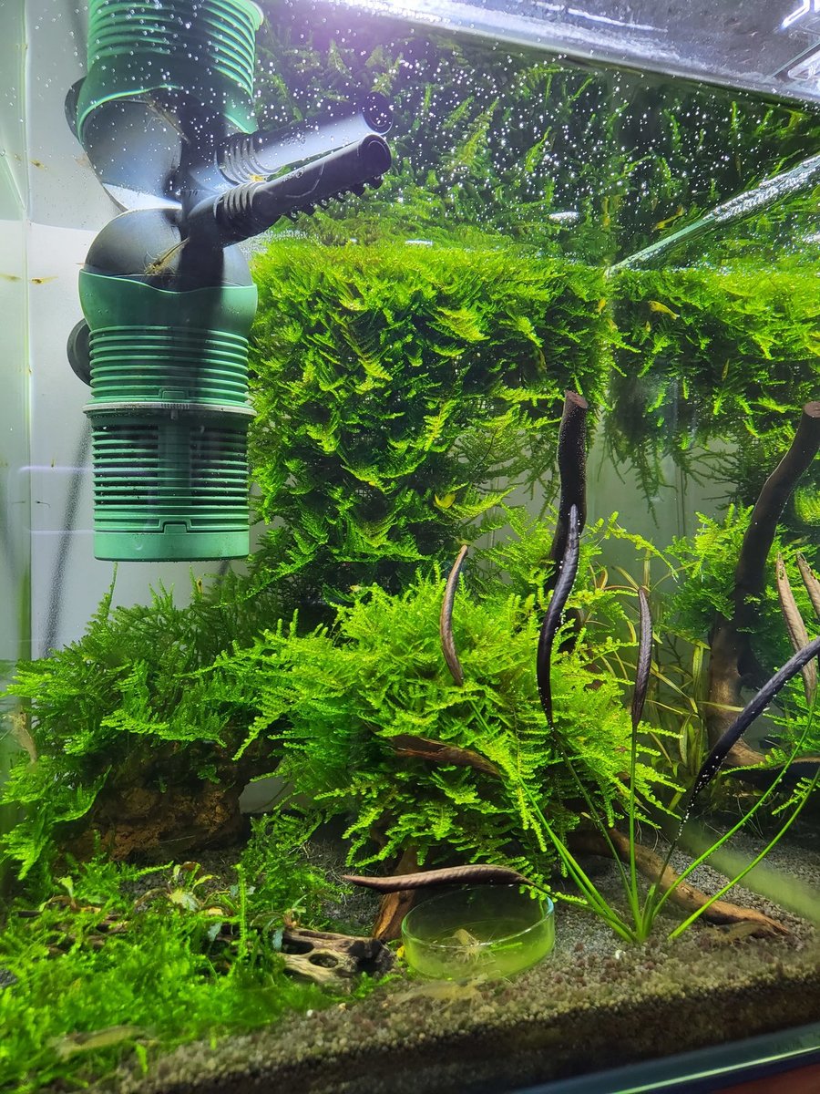 20220524_191020.jpg