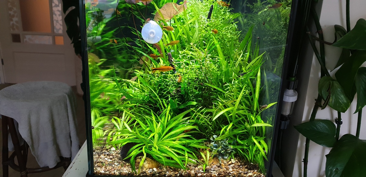 20220608_184139.jpg