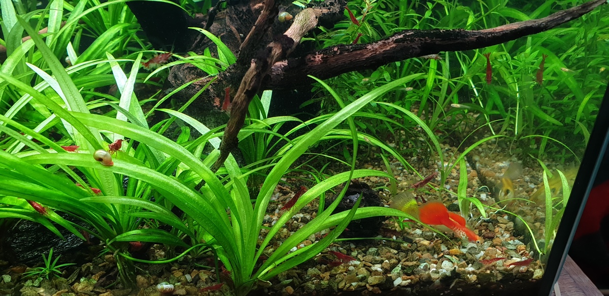 20220609_155723.jpg