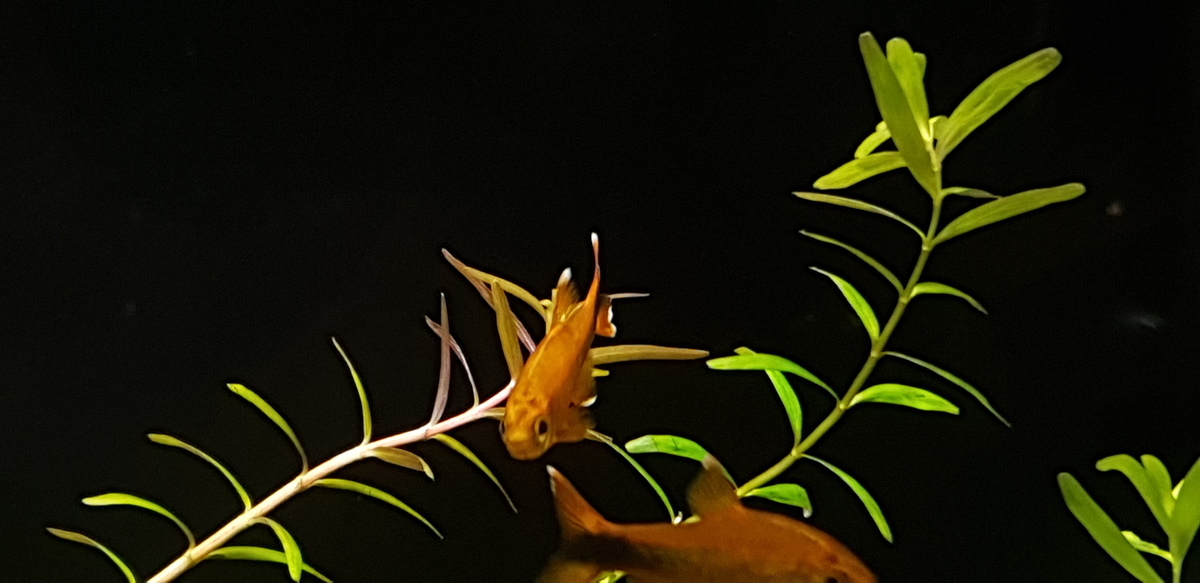 20220731_132551.jpg