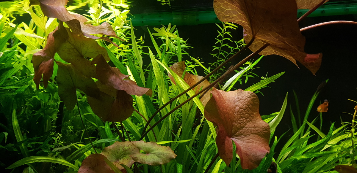 20220731_132633.jpg