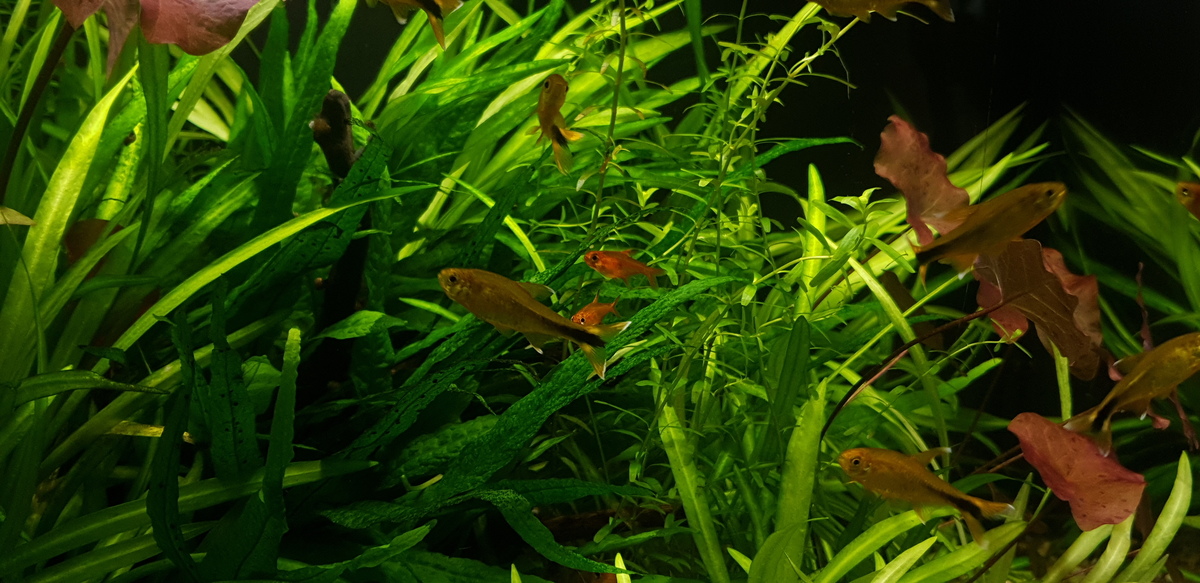 20220731_132703.jpg