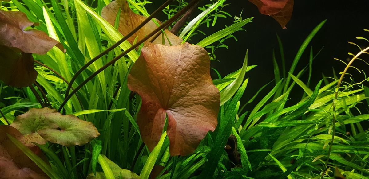 20220731_132849.jpg