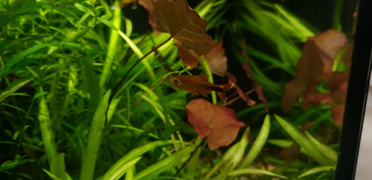 20220731_132955.jpg