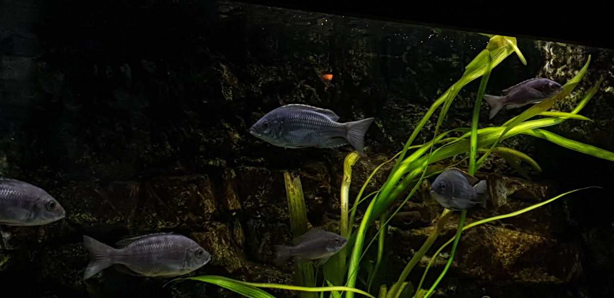 20220807_210959.jpg