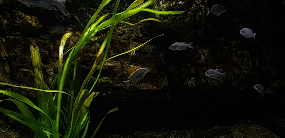 20220807_211034.jpg