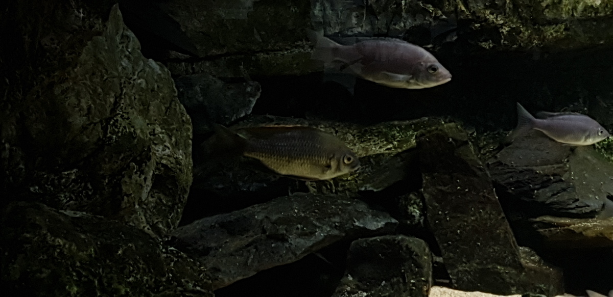 20220807_211104.jpg
