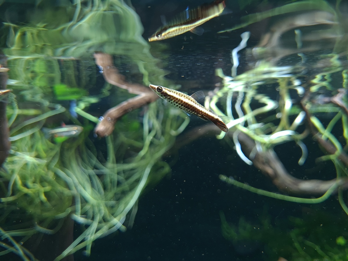 20220821_143617.jpg