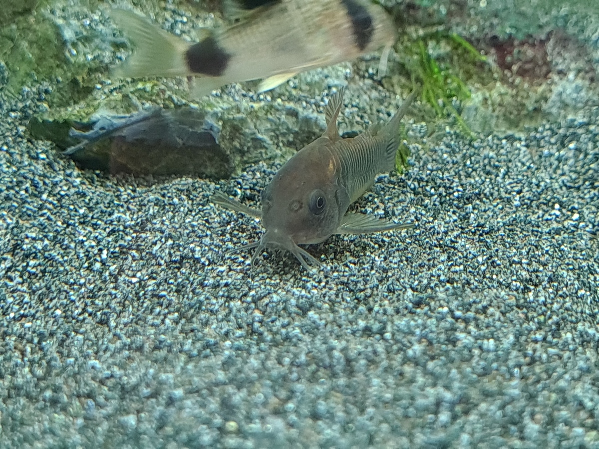 20220821_144017.jpg
