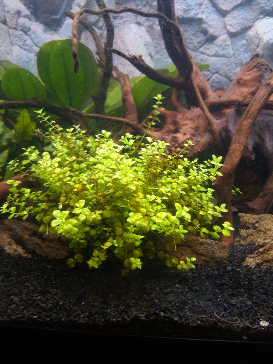 20220826_181120.jpg
