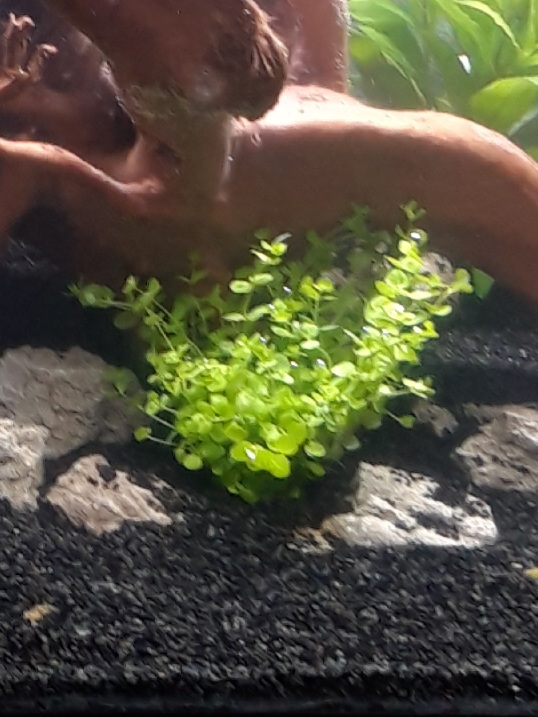 20220826_181321.jpg