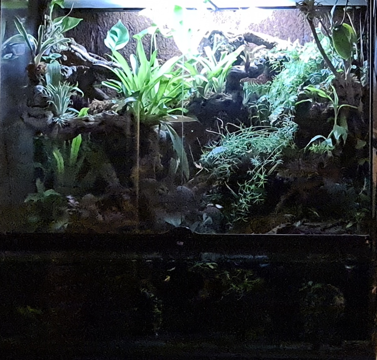 20221107_200046.jpg