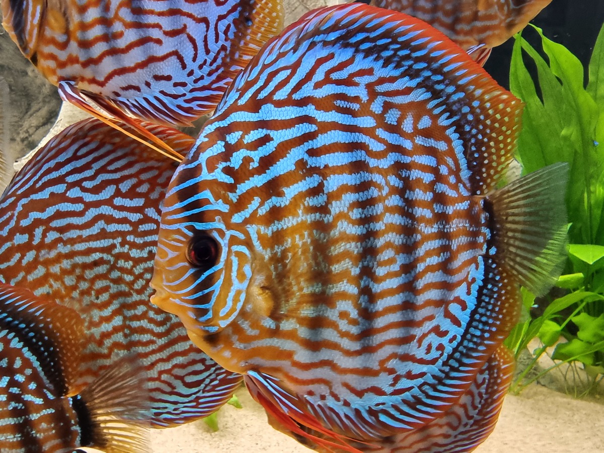 20221123_123035.jpg