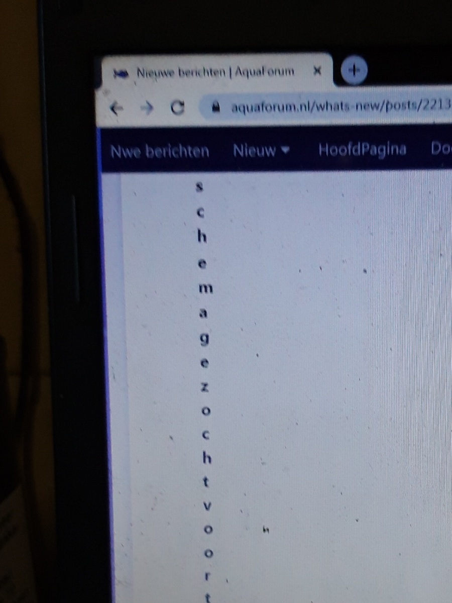 20221124_155716.jpg