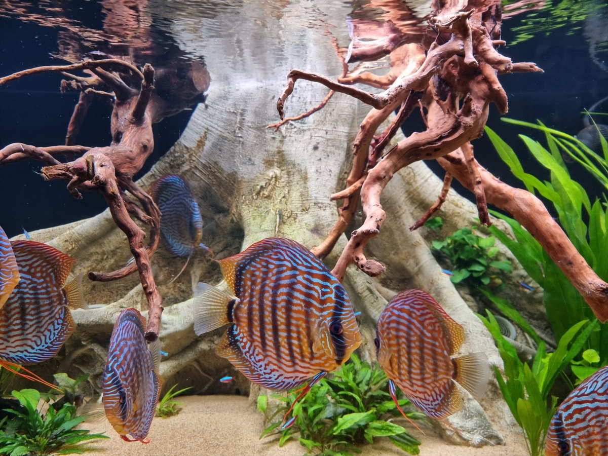 20221209_145400.jpg
