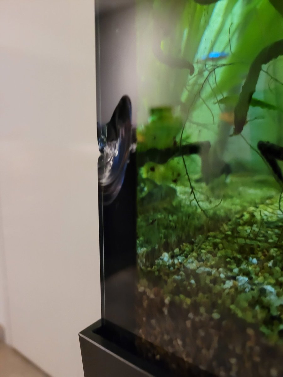 Aquarium glas beschadigd