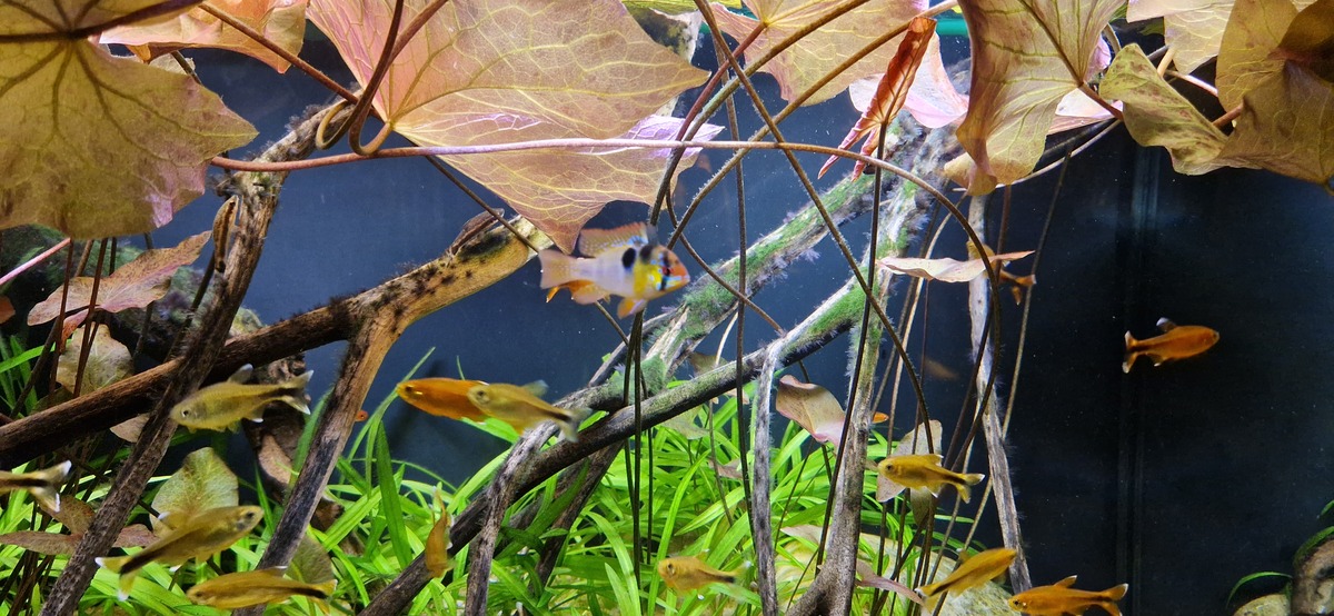 20230105_171433.jpg