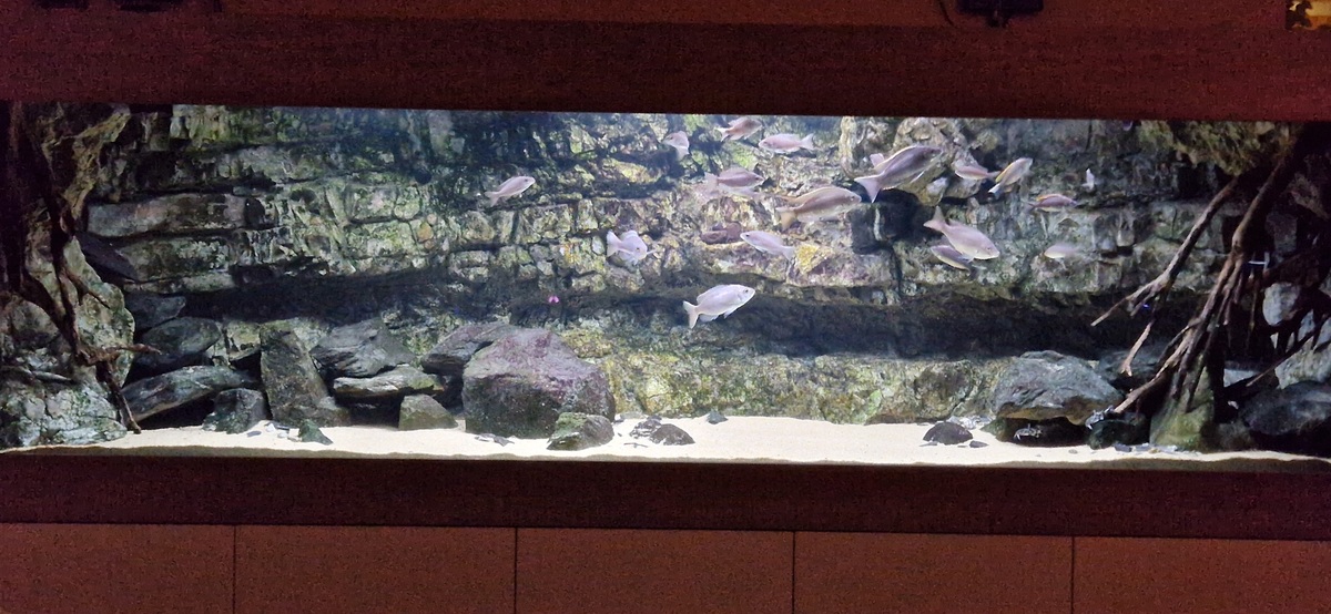 20230108_181744.jpg