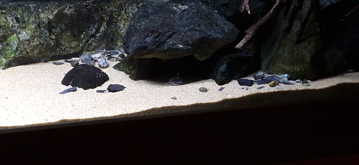 20230108_181922.jpg