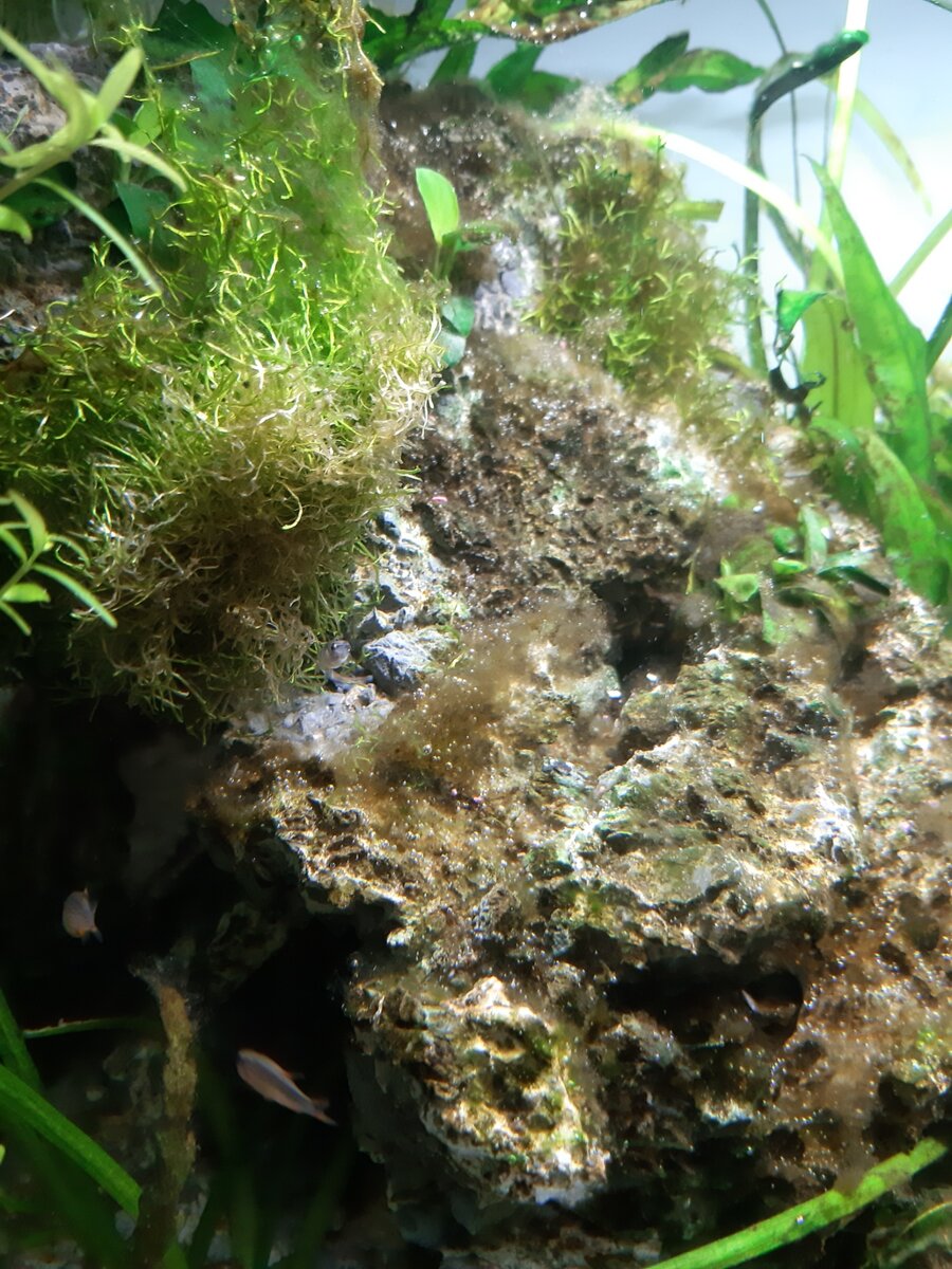 20230130_180756.jpg
