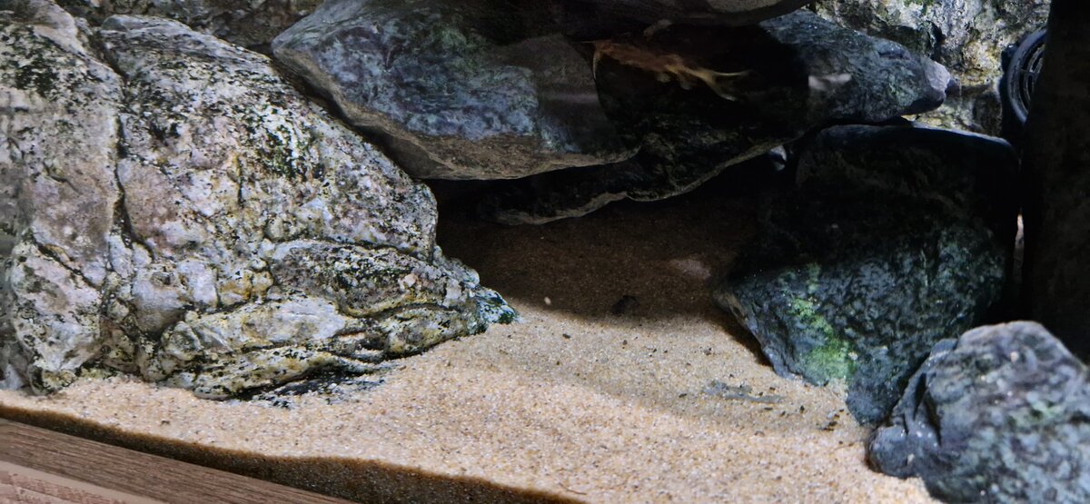 20230404_193150.jpg