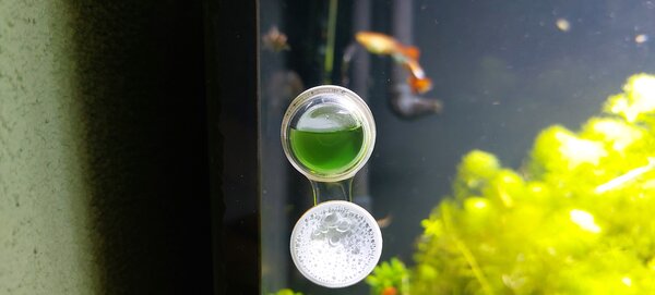 20230524_192200.jpg