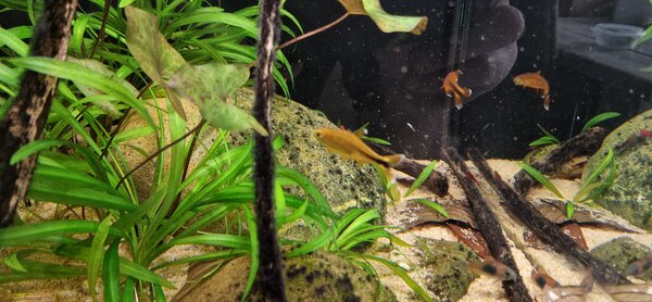 20230530_172518.jpg