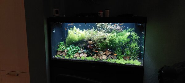 20230611_222225.jpg