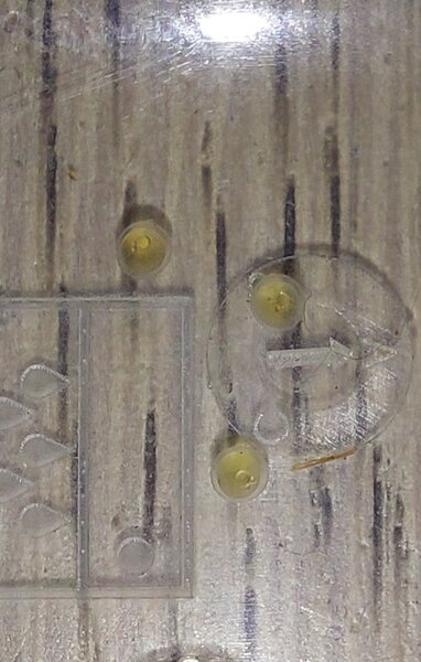 20230617_130126.jpg